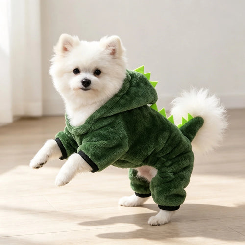 Costume d'Halloween pour chien et chat