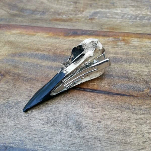 Barrette crâne de corbeau