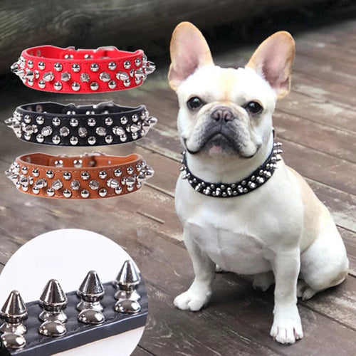 Collier à pointes pour chien et chat