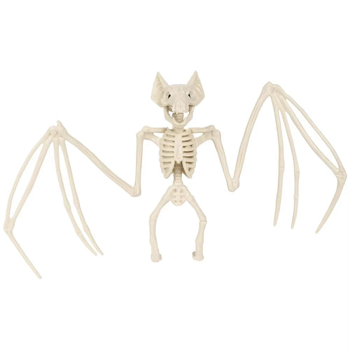 Squelette de chauve-souris