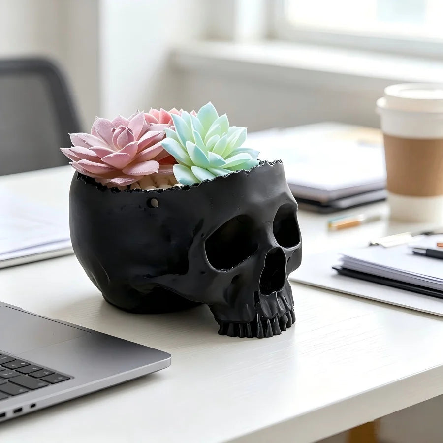 Cache-pot en forme de crane noir mat plante d une succulente