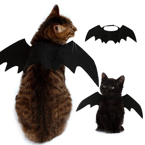 Ailes de chauve-souris pour chat et petit chien