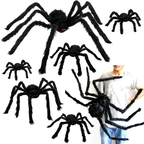 Araignée géante