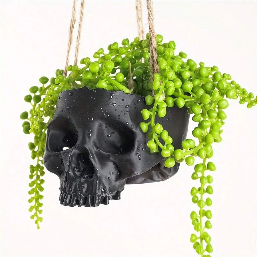 Cache-pot en forme de crane noir mat plante d une succulente