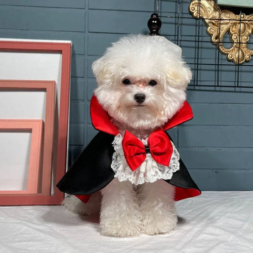 Cape de vampire pour chat et chien