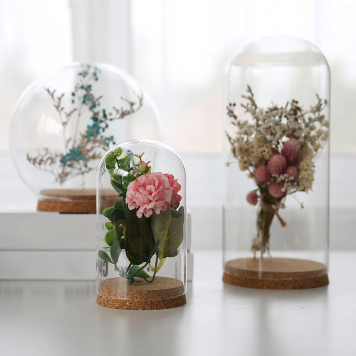 Deux cloches en verre avec fleurs séchées